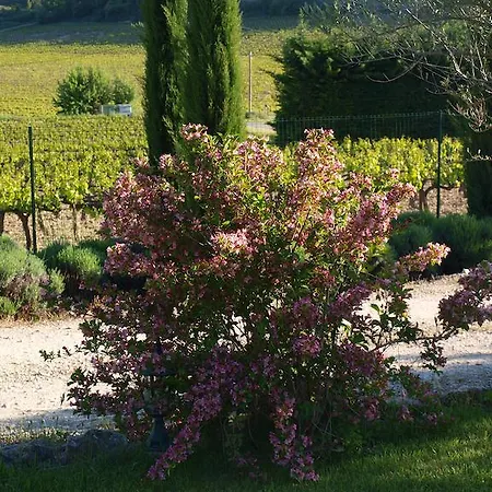 Jardin D'antan Bed & Breakfast Ansouis
